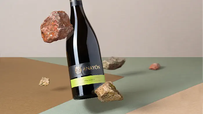 Una botella de vino suspendida sobre un fondo geométrico, rodeada de una composición tipográfica y unas rocas flotando en el aire.